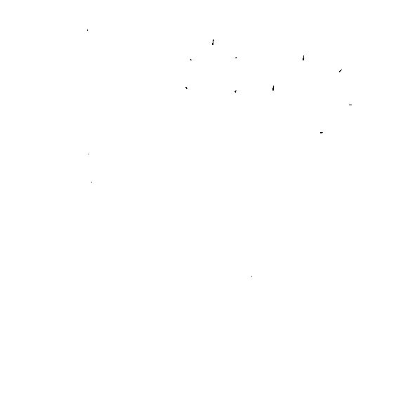 abeille.png